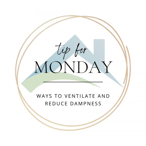 Do Dehumidifiers Work Against Damp? Timberwise
